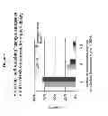 Fig. 10 - Antibody libraries