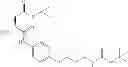 Fig. 46 - CHITOSAN COVALENTLY LINKED WITH SMALL MOLECULE INTEGRIN ANTAGONIST FOR TARGETED DELIVERY