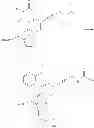 Fig. 20 - Modified nucleotides