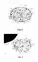 Fig. 02 - Device And Method For Extracting Active Principles From Natural Sources, Using A Counter-Flow Extractor Assited By A Sound Transduction System