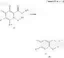 Fig. 08 - Substituted polycyclic carbamoyl pyridone derivative prodrug