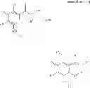 Fig. 09 - Substituted polycyclic carbamoyl pyridone derivative prodrug