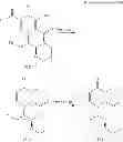 Fig. 362 - Substituted polycyclic carbamoyl pyridone derivative prodrug
