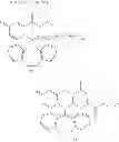 Fig. 737 - Substituted polycyclic carbamoyl pyridone derivative prodrug