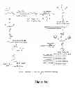 Fig. 09 - Dendrimers and methods of preparing same through proportionate branching