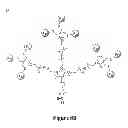 Fig. 10 - Dendrimers and methods of preparing same through proportionate branching