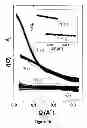 Fig. 12 - Dendrimers and methods of preparing same through proportionate branching