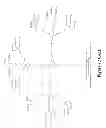 Fig. 16 - Dendrimers and methods of preparing same through proportionate branching