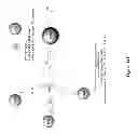 Fig. 23 - Dendrimers and methods of preparing same through proportionate branching