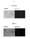 Fig. 07 - Removing Cells from an Organism