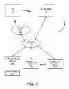 Fig. 07 - RESPIRATORY FUNCTION DETECTION