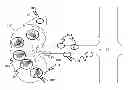 Fig. 01 - METHOD FOR IMPOROVING KIDNEY FUNCTION WITH EXTRACORPOREAL SHOCKWAVES