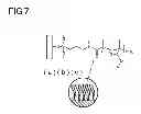 Fig. 06 - Syringe for prefilled syringe