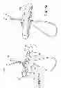 Fig. 09 - Tissue graft anchoring