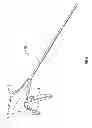 Fig. 04 - Surgical fastener with predetermined resorption rate