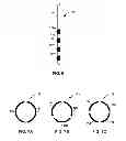 Fig. 07 - PRIORITIZED PROGRAMMING OF MULTI-ELECTRODE PACING LEADS