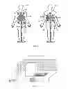 Fig. 41 - APPARATUS AND METHOD FOR QUICK PAIN SUPPRESSION