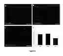 Fig. 09 - Methods for making a tissue engineered muscle repair (TEMR) construct in vitro for implantation in vivo