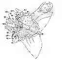 Fig. 01 - Reverse shoulder prosthetic