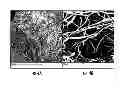 Fig. 05 - Electrospun Porous Media