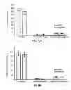 Fig. 07 - Acellular vascular products