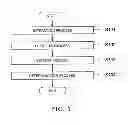 Fig. 02 - PARAMETER DETERMINATION SUPPORT METHOD, PARAMETER DETERMINATION SUPPORT PROGRAM, AND PARAMETER DETERMINATION SUPPORT SYSTEM
