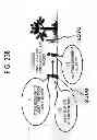 Fig. 24 - Information processing apparatus, non-transitory computer-readable recording medium, and information processing method