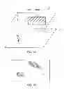 Fig. 02 - Advertisement delivery target identifying apparatus, advertisement delivery apparatus, advertisement delivery target identifying method, advertisement delivery method, program, and recording medium