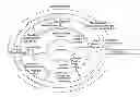 Fig. 01 - Trusted service manager (TSM) architectures and methods