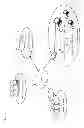 Fig. 02 - DATA MINING AND LOGIC CHECKING TOOLS