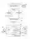 Fig. 02 - Query routing in a distributed database system