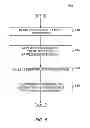 Fig. 07 - Deploying an executable with historical performance data