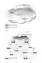 Fig. 08 - LOGGING CONTROL PLANE EVENTS