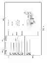 Fig. 09 - Visual manipulation of database schema