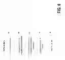 Fig. 09 - Broadcast area identification and content distribution