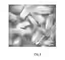 Fig. 02 - Preparation and use of plant embryo explants for transformation