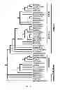 Fig. 02 - Polynucleotides and polypeptides in plants