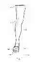 Fig. 02 - Shin Guard Compression Sleeve