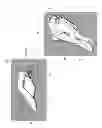 Fig. 23 - Therapeutic cushion systems and methods
