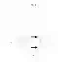 Fig. 09 - Control method of laundry machine
