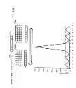 Fig. 16 - System for manufacturing a field emission structure
