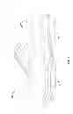 Fig. 02 - Training Footwear