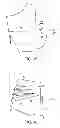 Fig. 08 - Article of footwear formed from two preforms and method and mold for manufacturing same