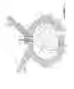 Fig. 02 - Rotary internal combustion engine with cooled insert