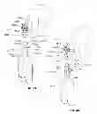 Fig. 45 - Modular pulmonary treatment system