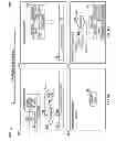 Fig. 07 - Ventilation management system