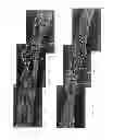 Fig. 06 - Banded papers, smoking articles and methods