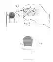 Fig. 02 - Methods for Applying Artificial Tanning Liquid or Semi-Solid Product Using a Brush