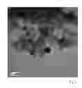Fig. 04 - Process to prepare metal nanoparticles or metal oxide nanoparticles