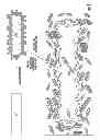 Fig. 02 - Surface Functionalization of Polyester